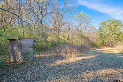 191 Private Road 5701, Grand Saline, TX 75140 - Photo 29