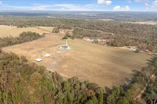 7294 S County Road 314, Henderson, TX 75654 - Photo 39