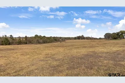 7294 S County Road 314, Henderson, TX 75654 - Photo 43