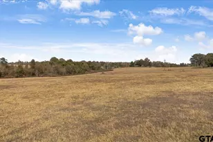 7294 S County Road 314, Henderson, TX 75654 - Photo 43