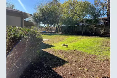 2923 Birdwell Drive, Tyler, TX 75701 - Photo 33