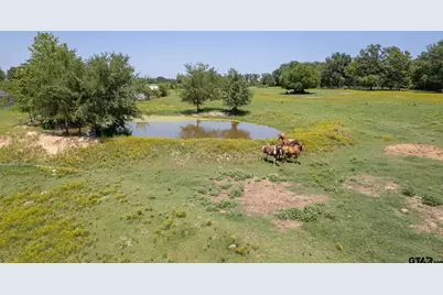 608 E Longview St., Arp, TX 75750 - Photo 15