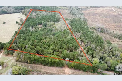 21521 County Road 2160, Troup, TX 75789 - Photo 7