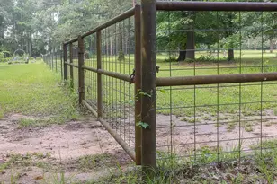 951A County Road 4414, Jacksonville, TX 75766 - Photo 17