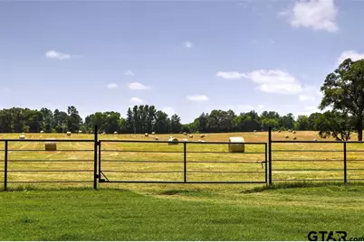 1765 Crabapple, Big Sandy, TX 75755 - Photo 21