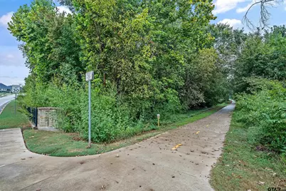 4538 Brushy Creek Cove, Tyler, TX 75703 - Photo 41