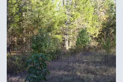 000 Woodcreek Drive, Murchison, TX 75778 - Photo 3