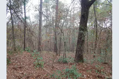 Tbd Ashwood, Gilmer, TX 75645 - Photo 3