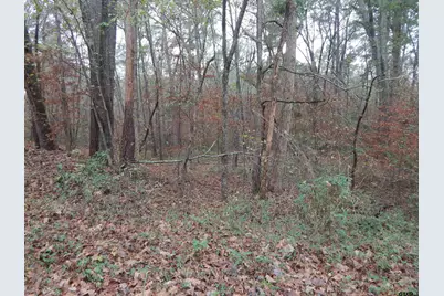 Tbd Ashwood, Gilmer, TX 75645 - Photo 7