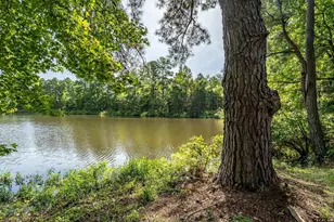 13165 Vicki Lynn Ln, Troup, TX 75789 - Photo 29