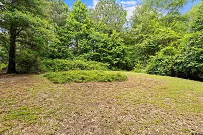 23515 Pinnacle Dr., Overton, TX 75684 - Photo 11