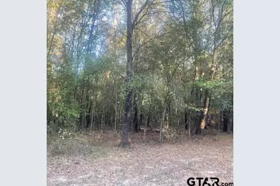 205 County Road 2880, Mineola, TX 75773 - Photo 17