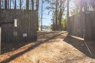 14131 Peninsula, Whitehouse, TX 75791 - Photo 3