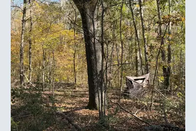 23791 Hwy 64E, Arp, TX 75750 - Photo 5