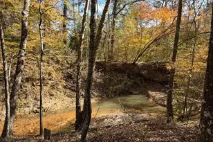 23791 Hwy 64E, Arp, TX 75750 - Photo 1