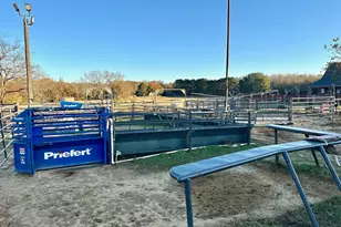 13002 Fm 344 W, Bullard, TX 75757 - Photo 23