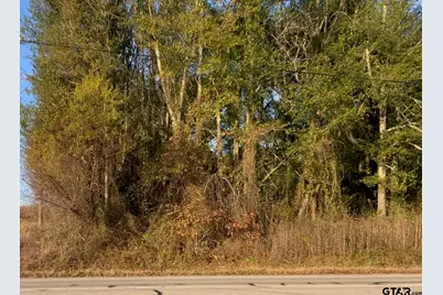 6313 Rhones Quarter Rd., Tyler, TX 75707 - Photo 1