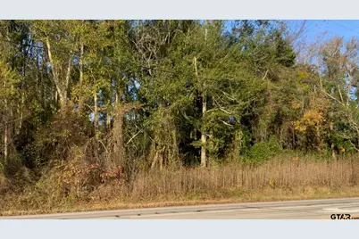 6313 Rhones Quarter Rd., Tyler, TX 75707 - Photo 3