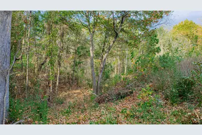0000 Savannah Hills, Longview, TX 75605 - Photo 5
