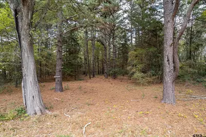 104 Barto, Arp, TX 75750 - Photo 43