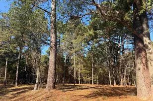 186 Susan Dr, Bullard, TX 75757 - Photo 3