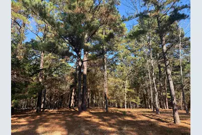 186 Susan Dr, Bullard, TX 75757 - Photo 5