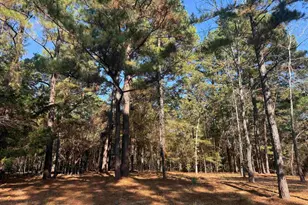 186 Susan Dr, Bullard, TX 75757 - Photo 5