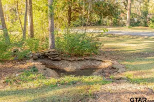 212 Canyon, Hideaway, TX 75771 - Photo 31