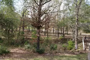 360 Acr 330, Palestine, TX 75803 - Photo 31