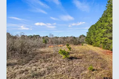 Tbd County Road 2865, Hughes Springs, TX 75656 - Photo 11