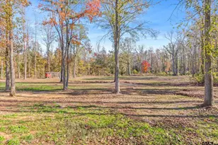 11142 Cr 4103, Lindale, TX 75771 - Photo 41