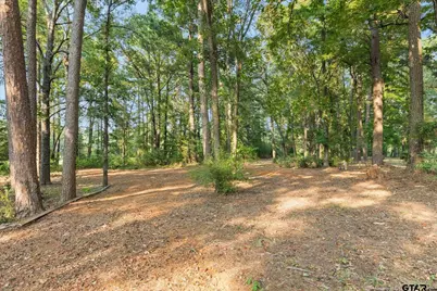 286 Hall Dr, Longview, TX 75605 - Photo 45