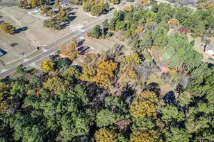 8241 N Fm 314, Ben Wheeler, TX 75754 - Photo 45