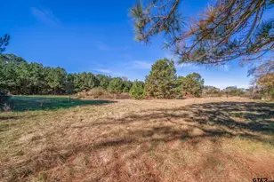 645 Co Rd 1713, Jacksonville, TX 75766 - Photo 45