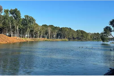 Lot 43 Oak River, Frankston, TX 75763 - Photo 5