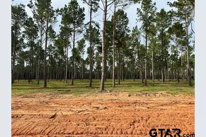 Lot 83 Oak River, Frankston, TX 75763 - Photo 7