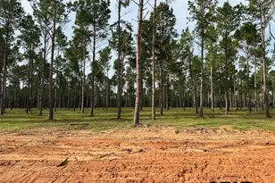 Lot 83 Oak River, Frankston, TX 75763 - Photo 7