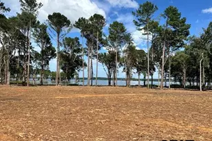 Lot 83 Oak River, Frankston, TX 75763 - Photo 21