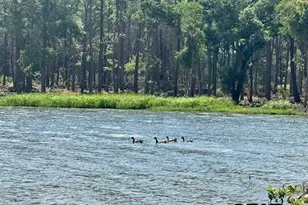 Lot 83 Oak River, Frankston, TX 75763 - Photo 15