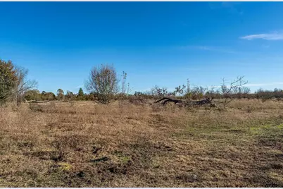 14461 County Road 46 (Lot 2), Tyler, TX 75704 - Photo 7