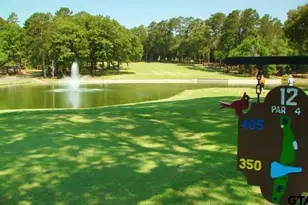 299 Lamplight Path, Holly Lake Ranch, TX 75765 - Photo 43