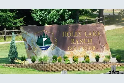 299 Lamplight Path, Holly Lake Ranch, TX 75765 - Photo 41