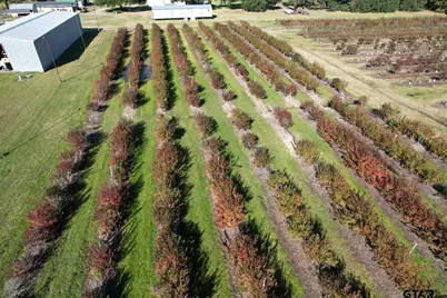 6934 Biscamp Rd, Silsbee, TX 77656 - Photo 25