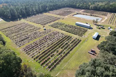 6934 Biscamp Rd, Silsbee, TX 77656 - Photo 5