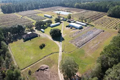 6934 Biscamp Rd, Silsbee, TX 77656 - Photo 3