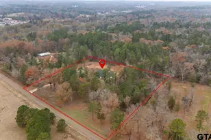 10707 Moser Ln, Whitehouse, TX 75791 - Photo 45