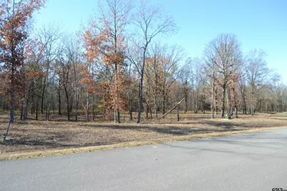 Lot 34 Angler Shores Dr., Yantis, TX 75497 - Photo 5