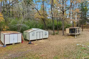 532 W State Hwy 42 Access, Kilgore, TX 75662 - Photo 31