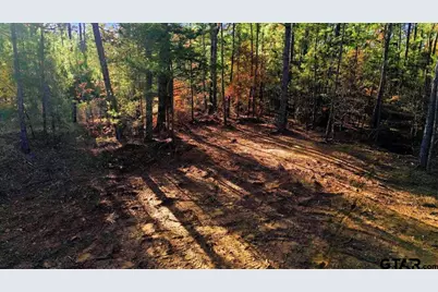 222 S Main Street, Arp, TX 75750 - Photo 19