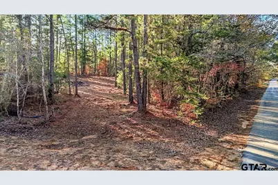 222 S Main Street, Arp, TX 75750 - Photo 29